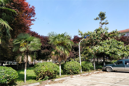 龙都四季美林3室2厅1卫82万120m2中档装修出售